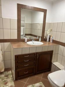 a bathroom with a sink and a mirror at Viva Apartman in Nyíregyháza