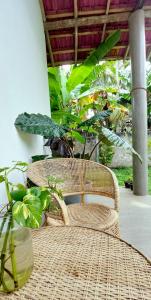 Φωτογραφία από το άλμπουμ του Maike's Cabana σε Bussa