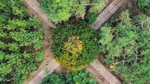 A garden outside Seaside Villa Alexandra,Acharavi.