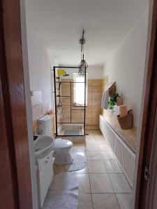 ein Badezimmer mit Toilette und Waschbecken in der Unterkunft Casa Marandy in Sadu + 23 Fotos