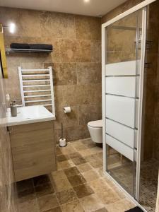 a bathroom with a toilet and a sink and a shower at Grand Tamaris Hosting in Arles