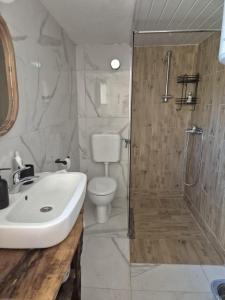 a bathroom with a shower and a sink and a toilet at Old house by the stream in Donja Stubica
