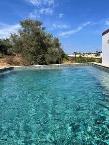 einen Pool mit blauem Wasser vor einem Haus in der Unterkunft Quinta do Coelhoazul in Quelfes