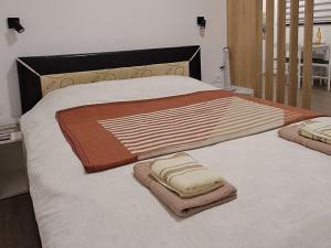 Postel nebo postele na pokoji v ubytování Studio apartman "Kutak DIVUS"