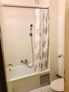a bathroom with a toilet and a shower curtain at Vintage Studio Apartment in Klagenfurt
