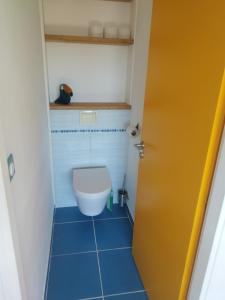 ein Badezimmer mit Toilette und blauem Fliesenboden in der Unterkunft Maison ecologique avec jardin in Elne + 10 Fotos