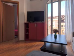 Apartman Stella Đenovići的电视和/或娱乐中心