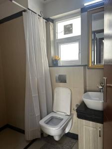 a bathroom with a toilet and a sink and a window at Luxurious 1BHK Apartment in Gurgaon with Shared Pool and BBQ Area in Gurgaon