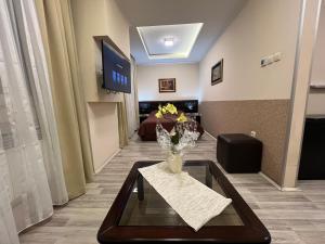 Televiisor ja/või meelelahutuskeskus majutusasutuses Hotel Petrus
