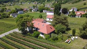an overhead view of a house with a red roof at Kellerstöckl - Zur Weinrebe 2 in Eisenberg an der Pinka