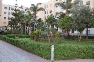 a street in front of a building with palm trees at Hassan Apartment - Ideal for Riders, Free Garage Parking Included in Sale