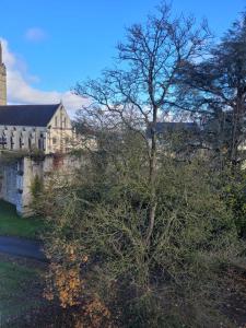 a tree in a yard next to a building at Résidence de LAbbaye in Soissons +4 photos