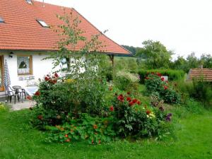 Zahrada ubytování Ferienhaus Wildfeuer