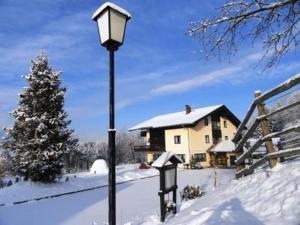 a street light in the snow next to a house at Ferienwohnung Phlox In Millstatt in Millstatt