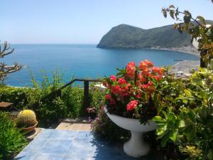 a vase filled with flowers sitting on a path next to the ocean at Flach D in Lipari