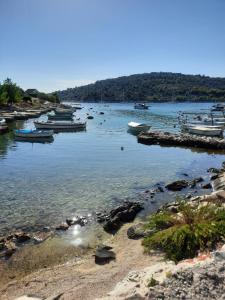eine Gruppe von Booten in einem Wasserkörper in der Unterkunft Gemütliches Ferienhaus in Sevid mit Privatem Pool in Sevid
