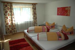 a bedroom with two beds and a window at Große Wohnung In Silbertal Mit Großem Garten in Silbertal