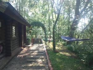 a hammock in a yard next to a house at Finnisches Holzhaus in Weidenberg