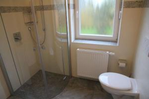 a bathroom with a shower and a toilet at Ferienhaus Mit Atemberaubendem Blick Auf Den See in Wiefelstede