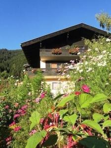 O grădină în afara Ferienwohnung Salvia In Millstatt