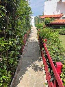 Gambar di galeri bagi Filoxenia Home 1 di Pláka