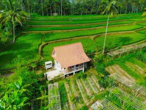 an aerial view of a house in a rice field at Pondok Is Oke Villa Scenic View in Banyuwangi