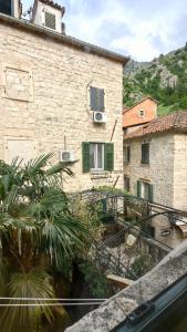 a stone building with green shuttered windows and palm trees at Captain Studio in Kotor +13 photos
