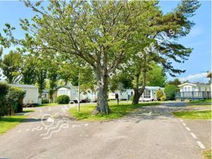 a tree in the middle of a street with a bike lane at Coopers Corner - Stylish 2 bedroom home, Seal Bay - Pets Welcome in Selsey