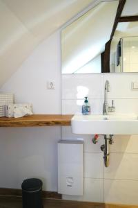 a bathroom with a sink and a mirror at Altstadt Apartment V- Studio-3 Personen- Waschmaschine- Parkplatz in Wolfsburg +11 photos