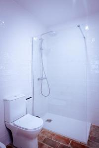 a bathroom with a white toilet and a shower at Mar-Ria 3 in Fuzeta