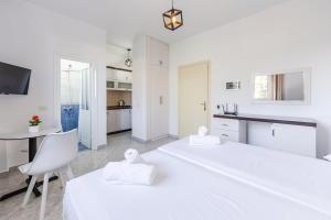 Kuchyň nebo kuchyňský kout v ubytování Serene Studio with Balcony Golem