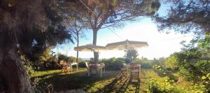 a table and chairs under an umbrella in a yard at Mirto E Mare in Muravera