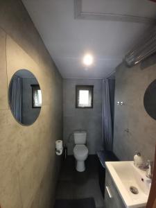 a bathroom with a toilet and a sink and a mirror at Chalet "Uit Zicht" in Putten +48 photos