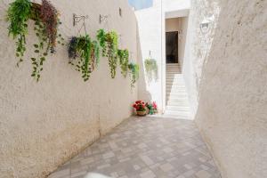 an alley with potted plants on a wall at La Vanedda in Partanna
