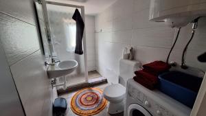 a small bathroom with a toilet and a sink at Divine Lake House in Motnik +36 photos