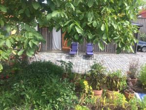 En hage utenfor Beautiful Home In Simrishamn With 2 Bedrooms And Wifi