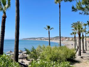 a view of a beach with palm trees and the ocean at Beachside Vacation Apartment in Casares Playa in San Luis de Sabinillas