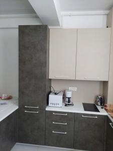 a kitchen with white and gray cabinets and a appliance at Costy Stefan Building 2 in Mamaia Nord +6 photos