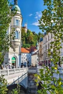 un pont sur une rivière dans une ville avec des bâtiments dans l'établissement Little Plaza Duplex, à Ljubljana