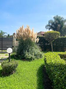 Taman di luar Villa AnnaRò