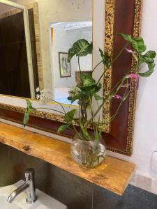 Fotografie z fotogalerie ubytování Agriturismo Nibbiano v destinaci Montepulciano