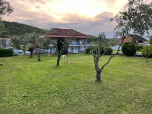two trees in a field with a house in the background at House9 in Kotor