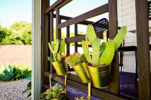 a group of potted plants in buckets on a porch at Palmaradise in El Palmar