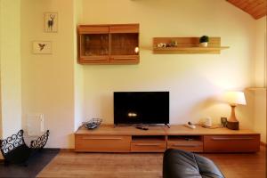 a living room with a flat screen tv on a wooden cabinet at Black Forest Living, Todtnauberg, Feldberg in Rütte