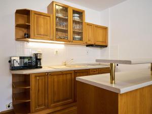 Η κουζίνα ή μικρή κουζίνα στο Studio Rosie-Dolní náměstí by Interhome