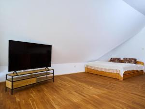 Μια τηλεόραση ή/και κέντρο ψυχαγωγίας στο Studio Rosie-Dolní náměstí by Interhome