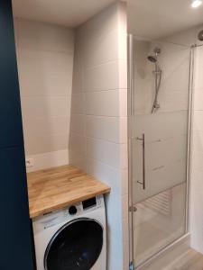 a washing machine in a bathroom with a shower at L'escapade in Trouville-sur-Mer