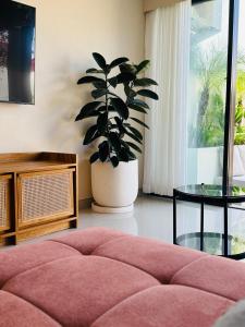 a living room with a pink couch and a potted plant at Cozy Living Kalos Villa in Kerobokan