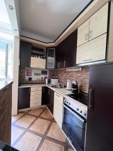 Kuchyň nebo kuchyňský kout v ubytování Apartman Sasha 1 - Ask for free parking