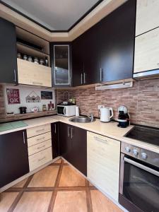 Kuchyň nebo kuchyňský kout v ubytování Apartman Sasha 1 - Ask for free parking